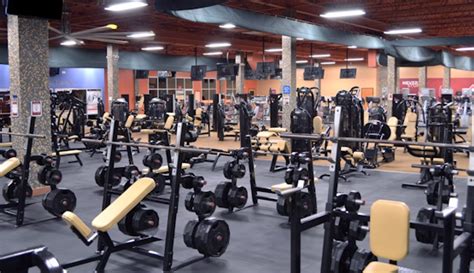 Jacksonville gyms. Things To Know About Jacksonville gyms. 